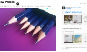 flickr11