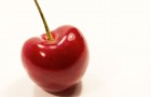 cherry cherry