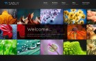 sab Custom Image uploader