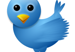 twit