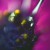 10 Things Beginners Need to Know About Macro Photography 10 Things Beginners Need to Know About Macro Photography
