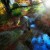 Photo Profile: Vadym Graifer Photo Profile: Vadym Graifer