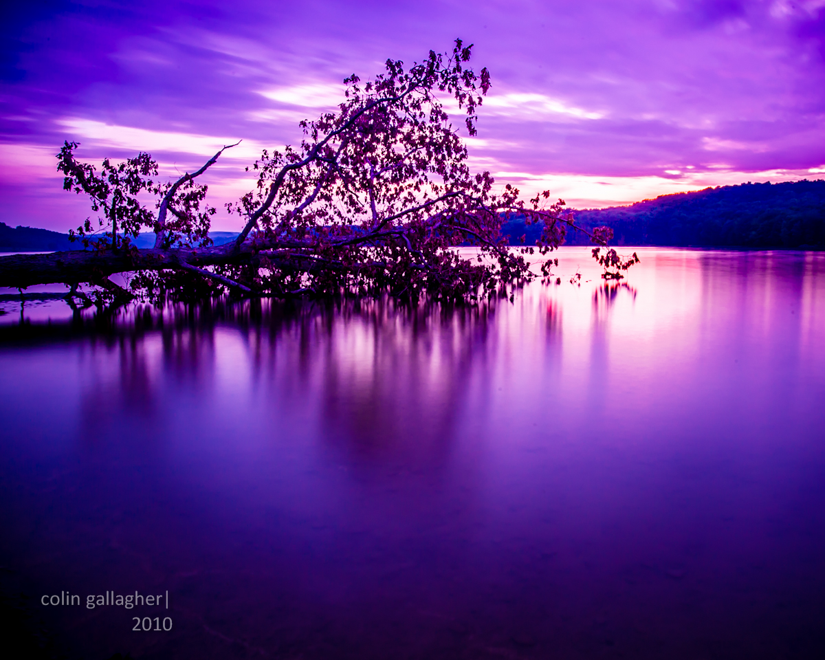 Colin Gallagher Photography