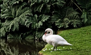 ArtsEyePhotographic