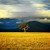 Photo Profile: Ivan Lieman Photo Profile: Ivan Lieman