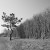 The Black & White Photo Show Off Thread The Black & White Photo Show Off Thread