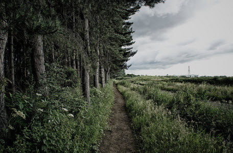 trailsfeature