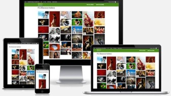 nextgen-gallery-responsive-demo