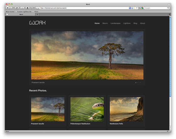 Wordpress Photo Theme