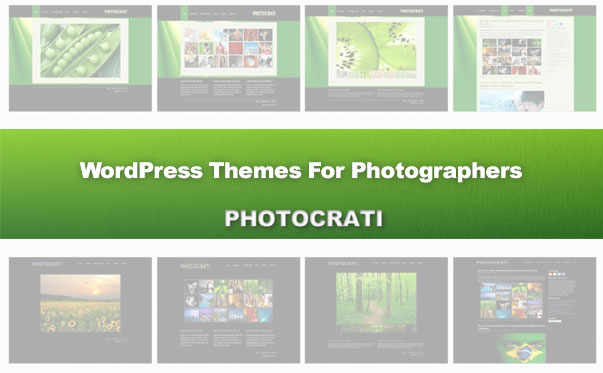 wordpress-themes-for-photographers